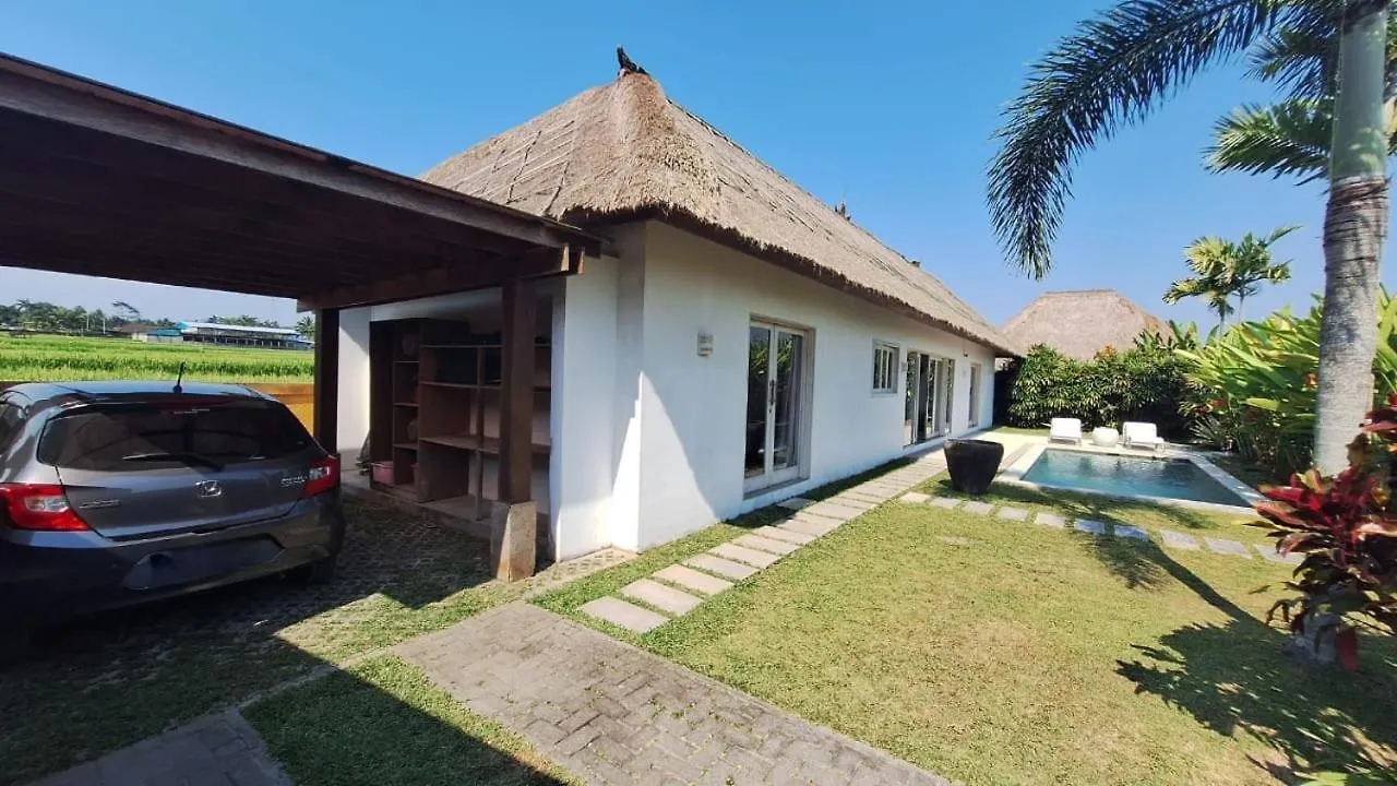 Villa Jahe 2 Bedrooms Ubud 0*, Ubud (Bali) Indonesia